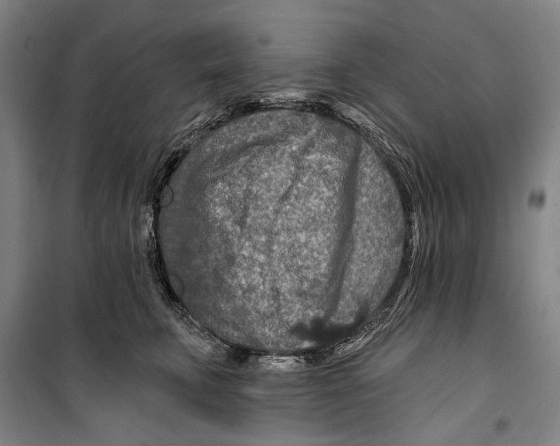 X0000099500711200806121415