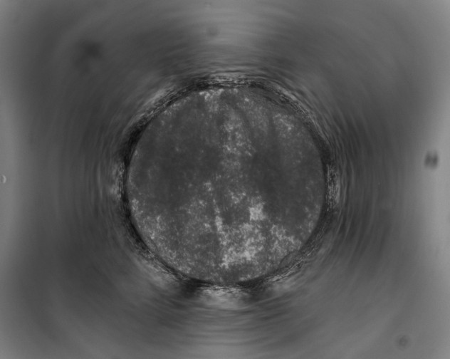 X0000099500712200806121415