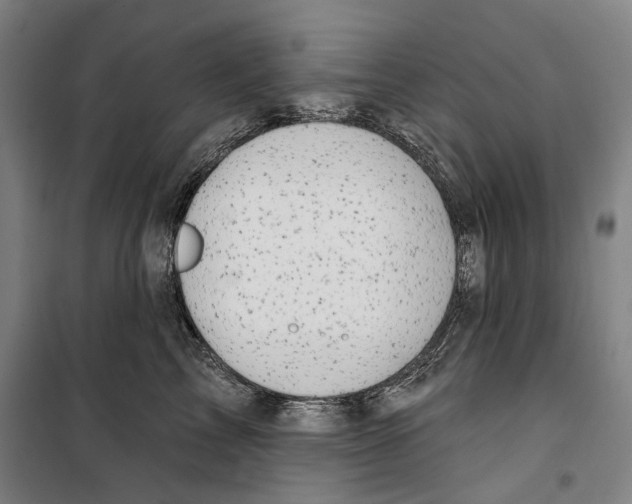 X0000099500713200806121415