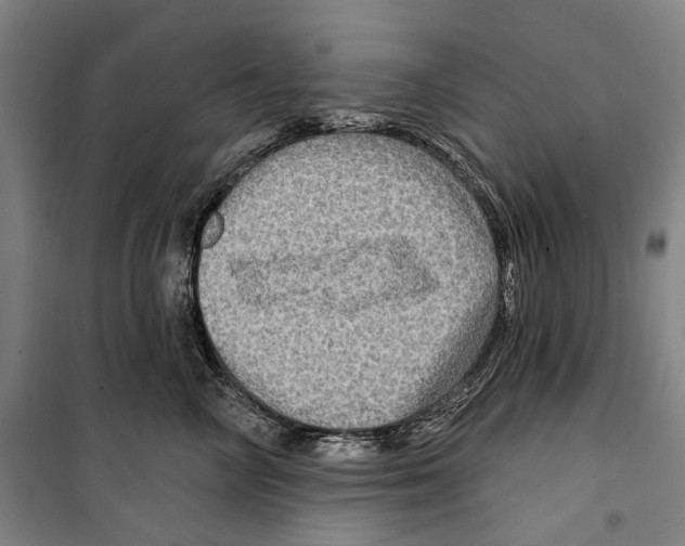 X0000099500714200806121415