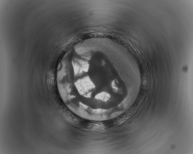 X0000099500715200806121415