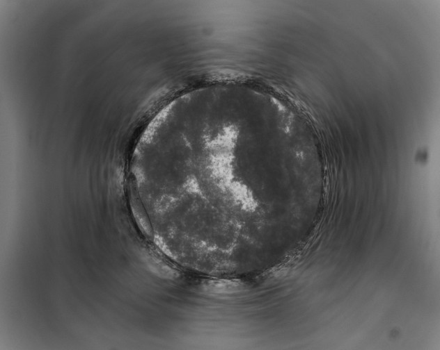 X0000099500716200806121415