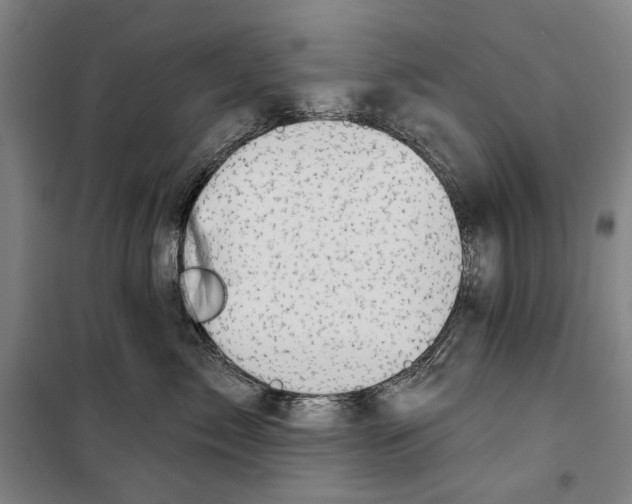 X0000099500717200806121415