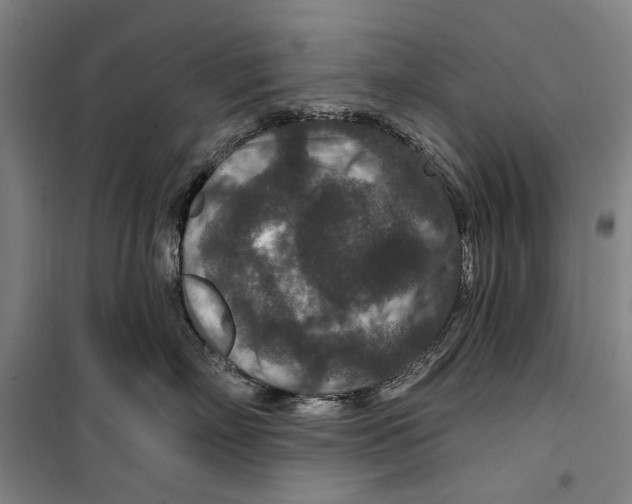 X0000099500718200806121415