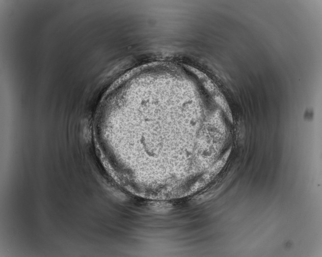 X0000099500719200806121415