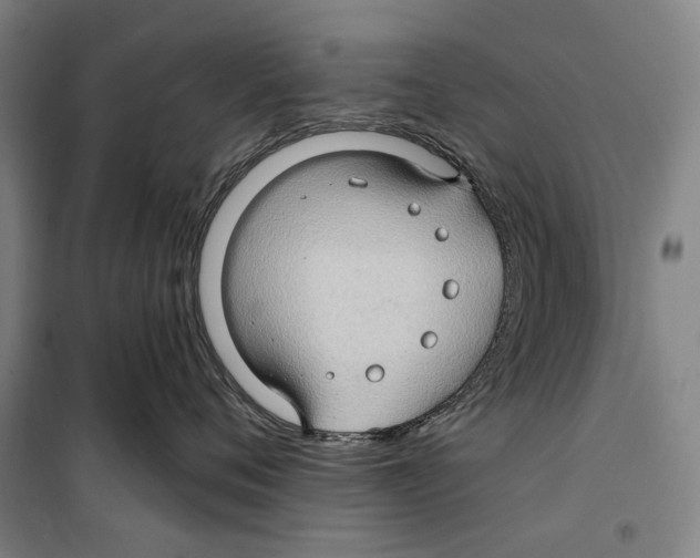 X0000099500720200806121415