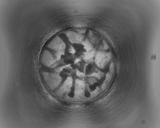 X0000099500721200806121415