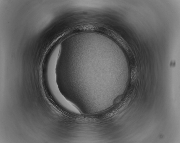 X0000099500722200806121415