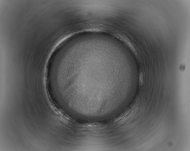 X0000099500724200806121415