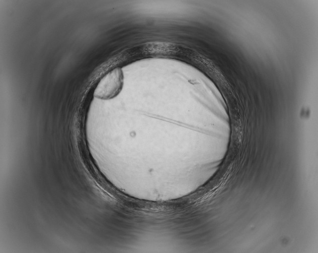 X0000099500725200806121415