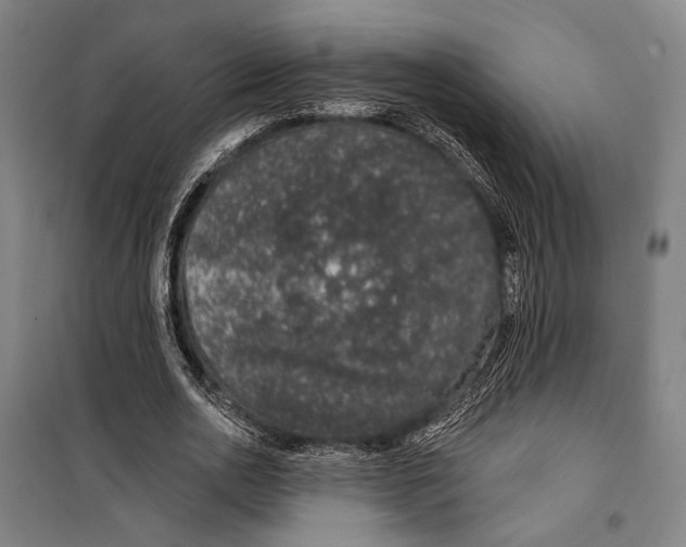 X0000099500726200806121415