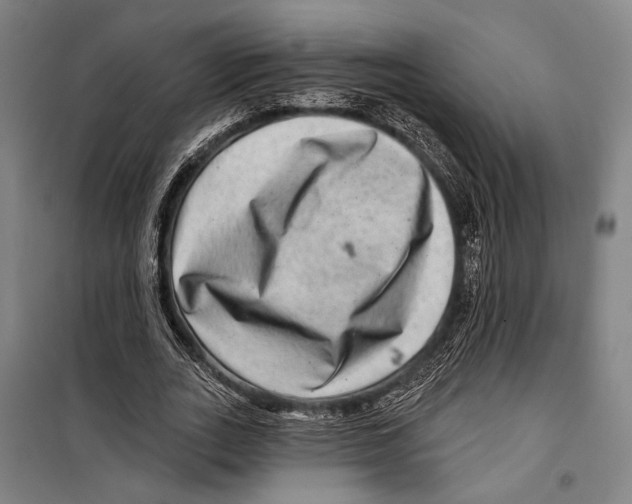 X0000099500727200806121415