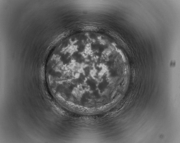 X0000099500729200806121415