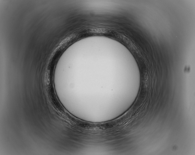 X0000099500731200806121415