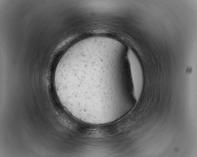 X0000099500732200806121415