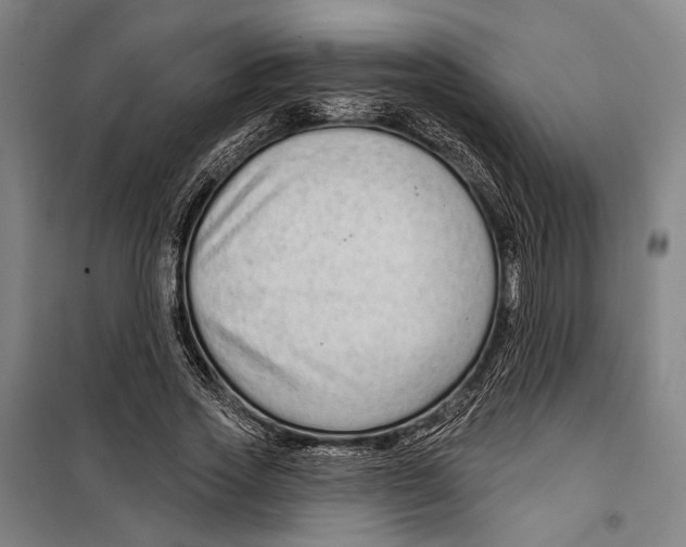 X0000099500733200806121415