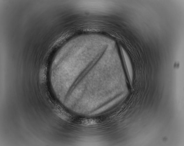 X0000099500735200806121415