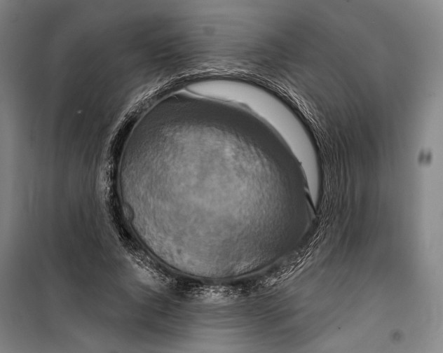 X0000099500736200806121415