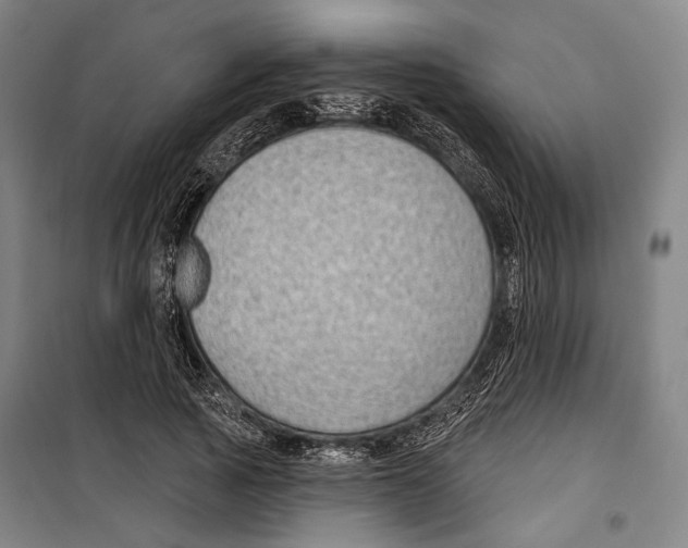 X0000099500737200806121415