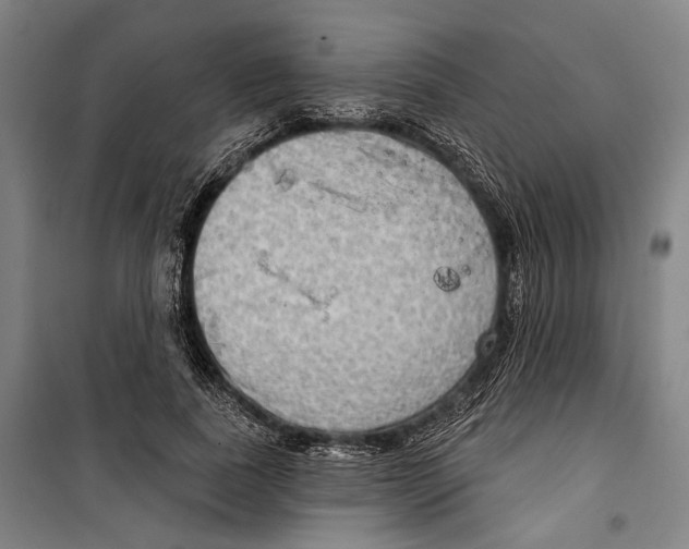 X0000099500739200806121415