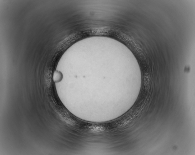 X0000099500741200806121415