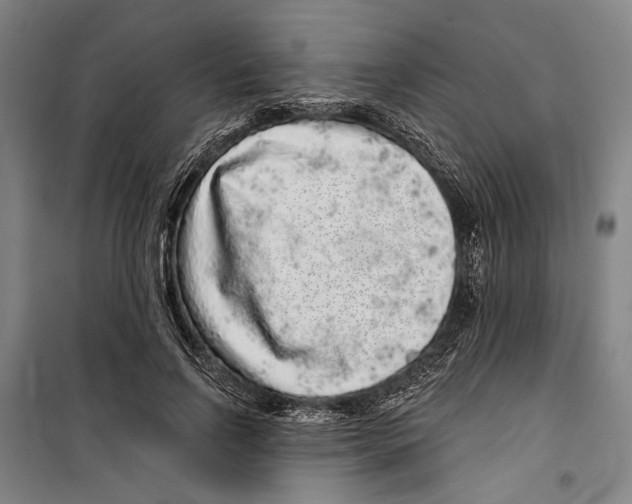 X0000099500742200806121415