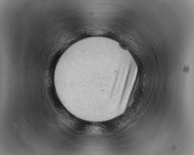 X0000099500743200806121415