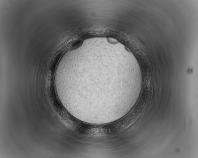 X0000099500744200806121415