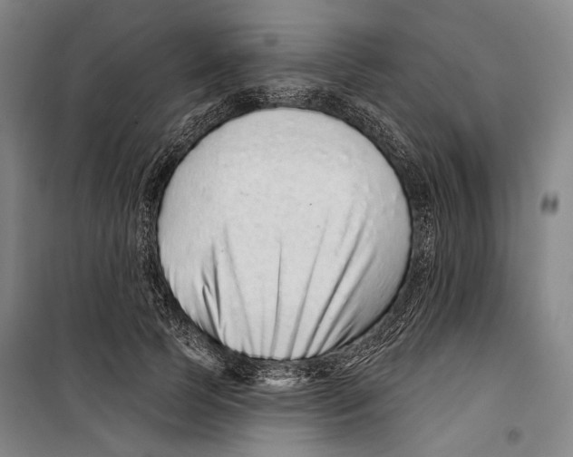 X0000099500745200806121415