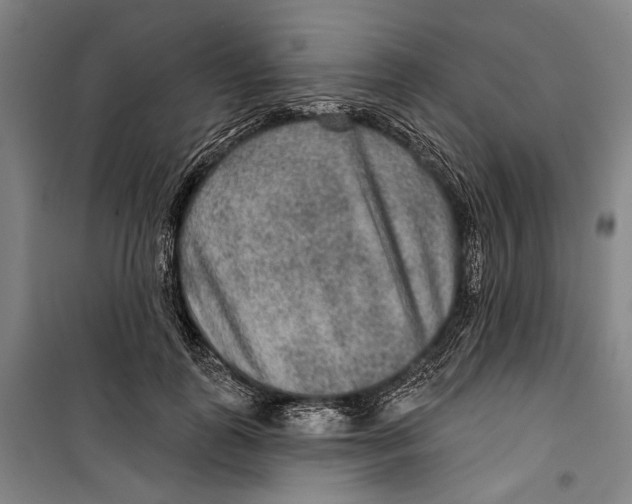 X0000099500747200806121415