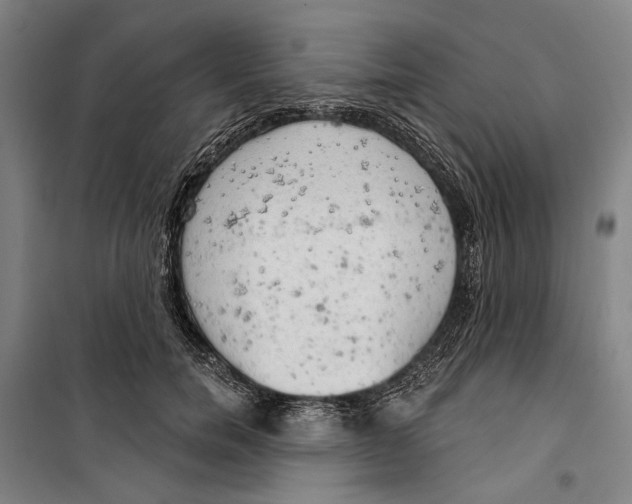 X0000099500750200806121415