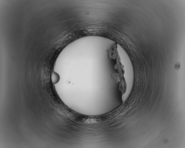 X0000099500751200806121415