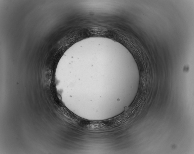 X0000099500752200806121415