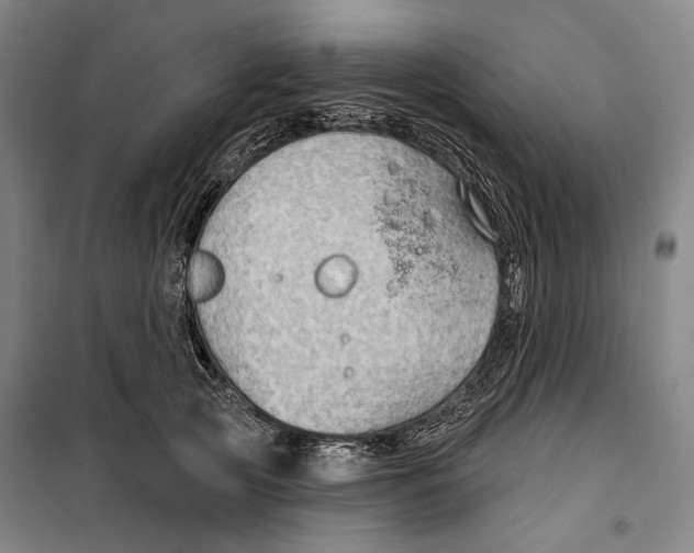 X0000099500753200806121415