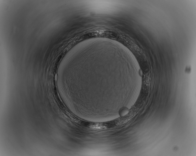 X0000099500754200806121415