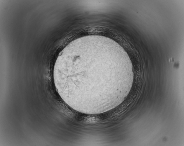 X0000099500755200806121415