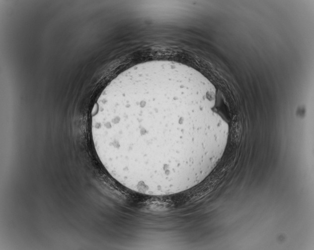 X0000099500756200806121415