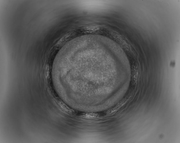 X0000099500758200806121415