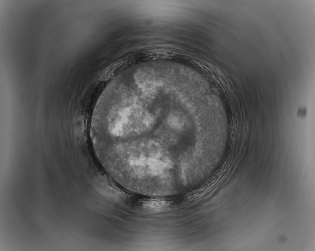 X0000099500759200806121415