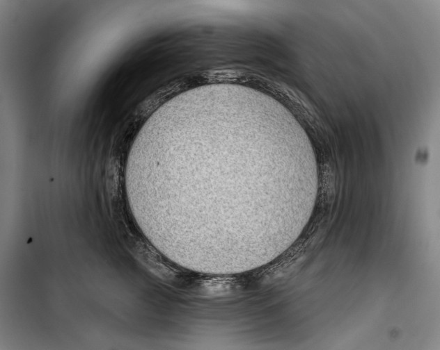 X0000099500761200806121415