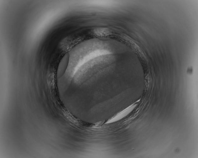 X0000099500762200806121415