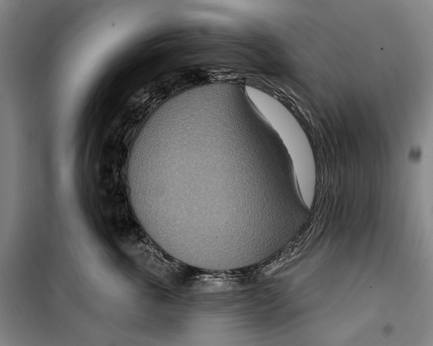 X0000099500763200806121415