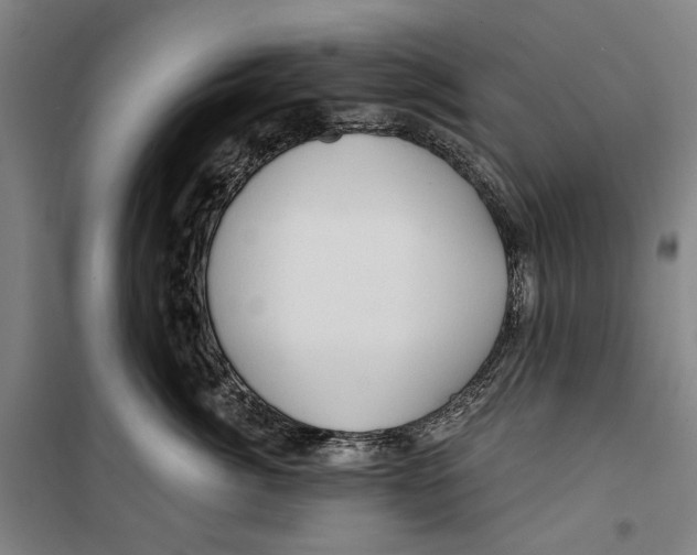 X0000099500764200806121415