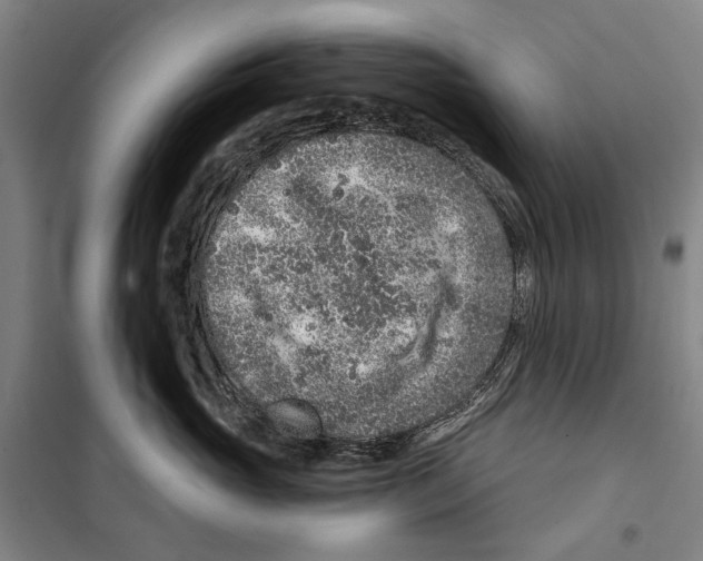 X0000099500765200806121415