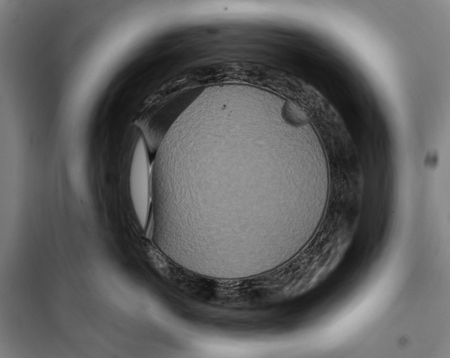 X0000099500766200806121415