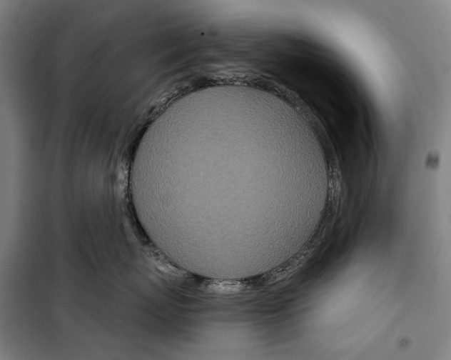 X0000099500767200806121415