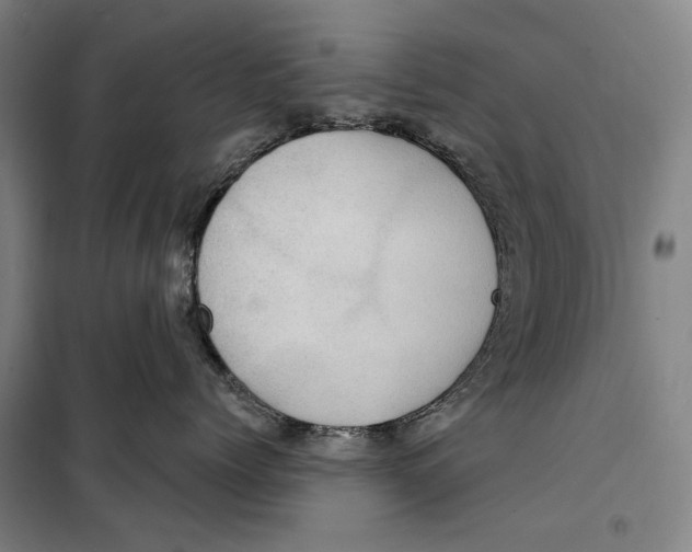 X0000099500768200806121415