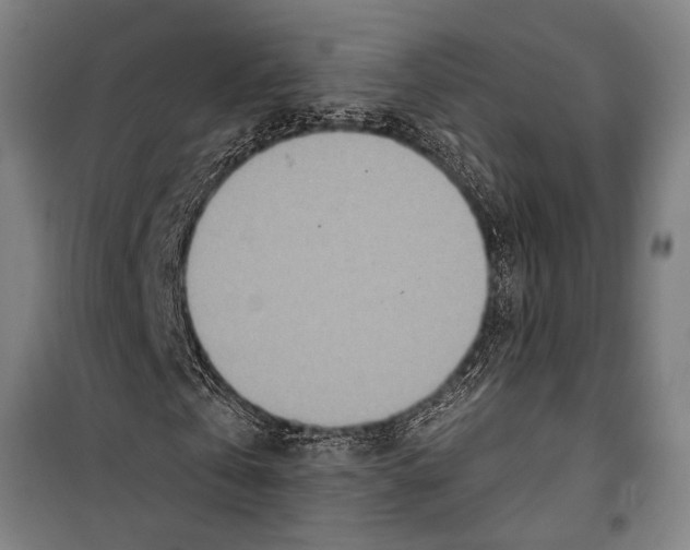 X0000099500769200806121415