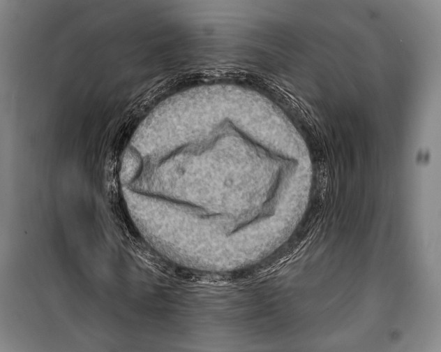 X0000099500770200806121415