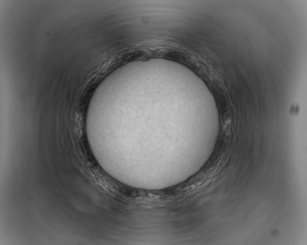 X0000099500772200806121415